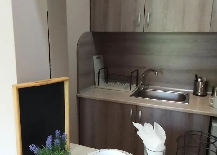 Apartments Primorsko * פרימורסקו